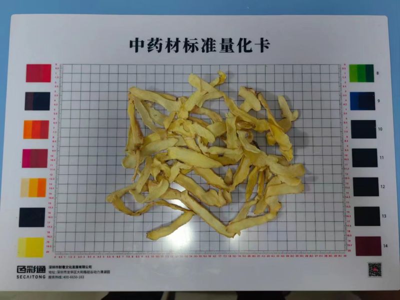 广东连州玉竹大量供应基地直发质量保证规格齐全全国发货