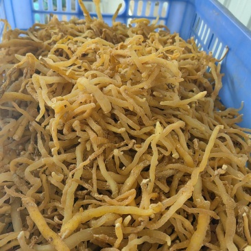 【玉竹熟条】连州玉竹产地直供质量保证货源充足欢迎订购