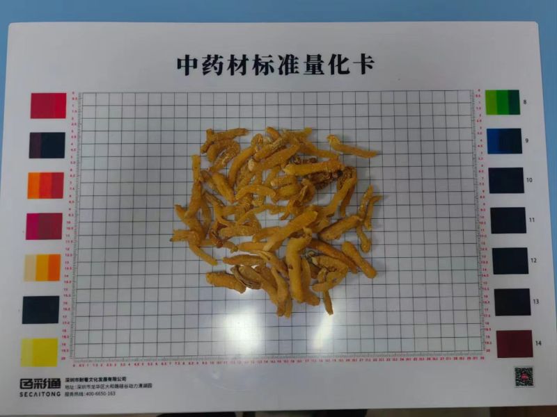 【玉竹熟条】连州玉竹产地直供质量保证货源充足欢迎订购