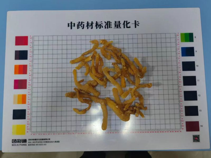 【玉竹熟条】连州玉竹产地直供质量保证货源充足欢迎订购