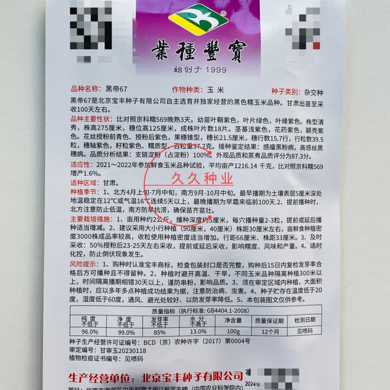 黑帝67黑玉米种子高产抗病大田基地杂交品种黑甜糯黑色玉米