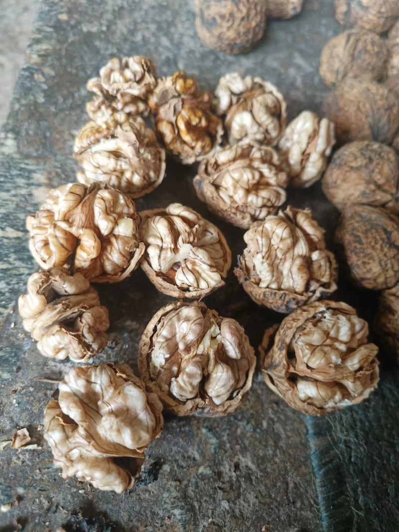 云南娘青核桃果8元一斤薄皮核桃产地直发品质保障