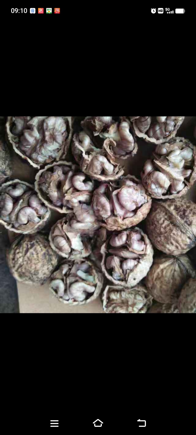 云南娘青核桃果8元一斤薄皮核桃产地直发品质保障