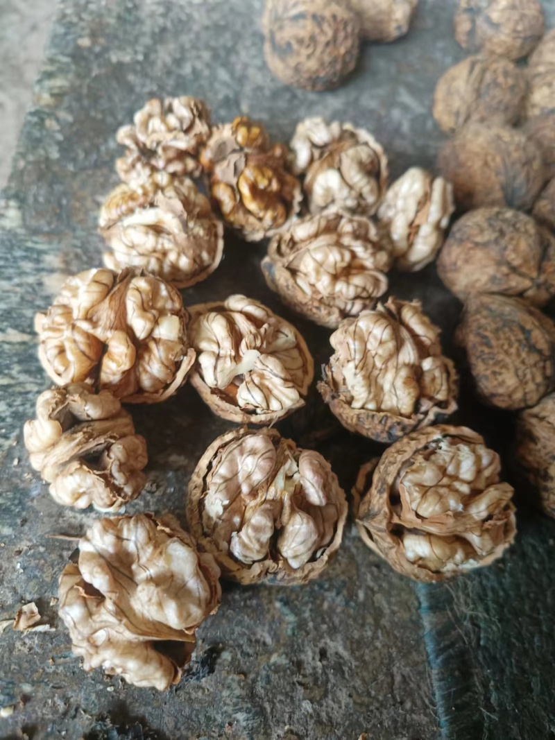 云南娘青核桃果8元一斤薄皮核桃产地直发品质保障