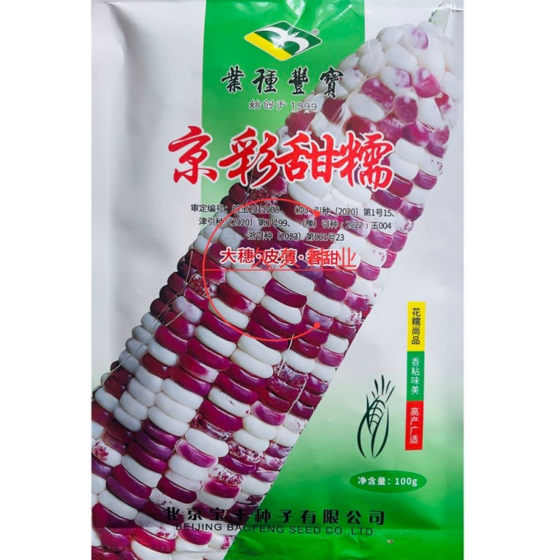 京彩甜糯玉米种子春夏秋彩糯鲜食包谷籽高产大橞皮薄香甜糯粘