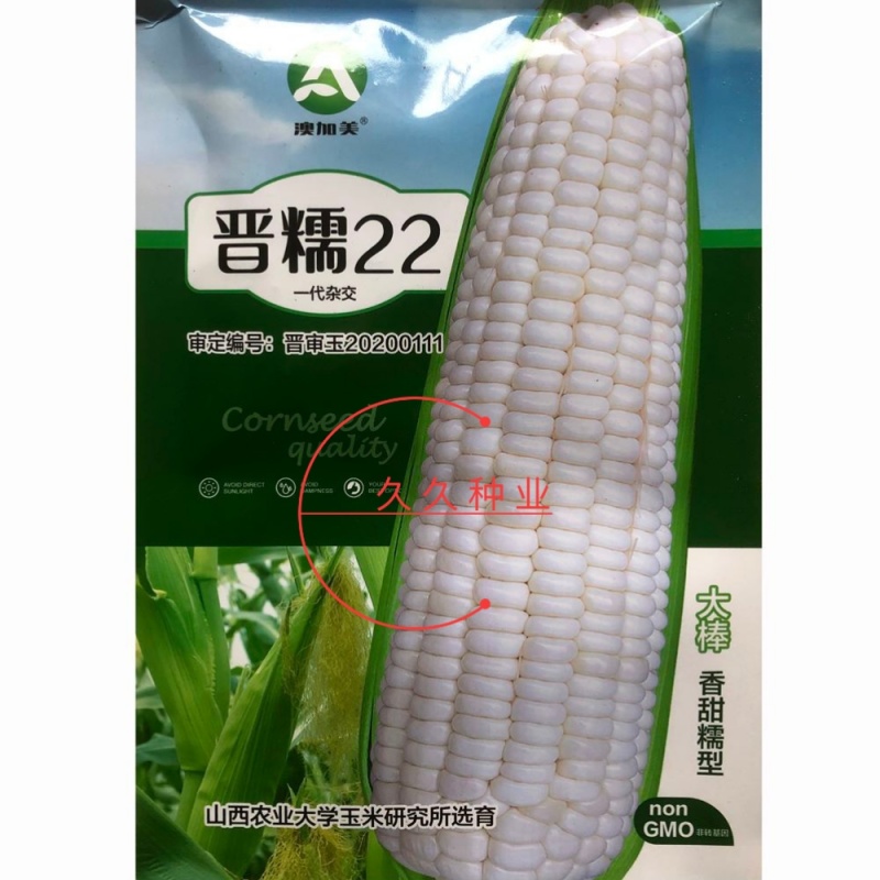 晋糯22白甜糯玉米种子大棒型鲜食糯粘白玉米种籽春秋播种
