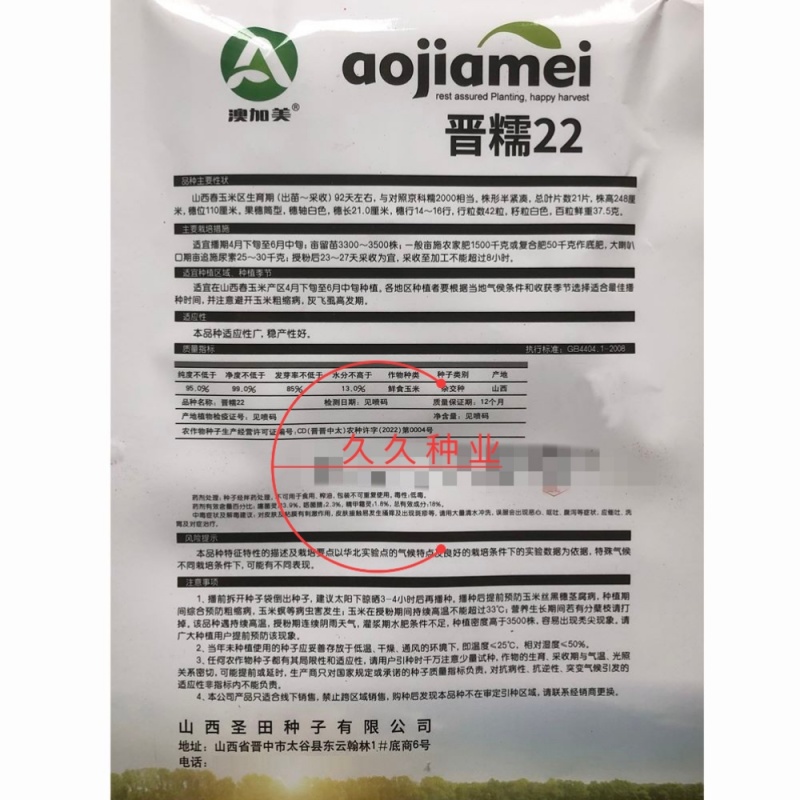 晋糯22白甜糯玉米种子大棒型鲜食糯粘白玉米种籽春秋播种
