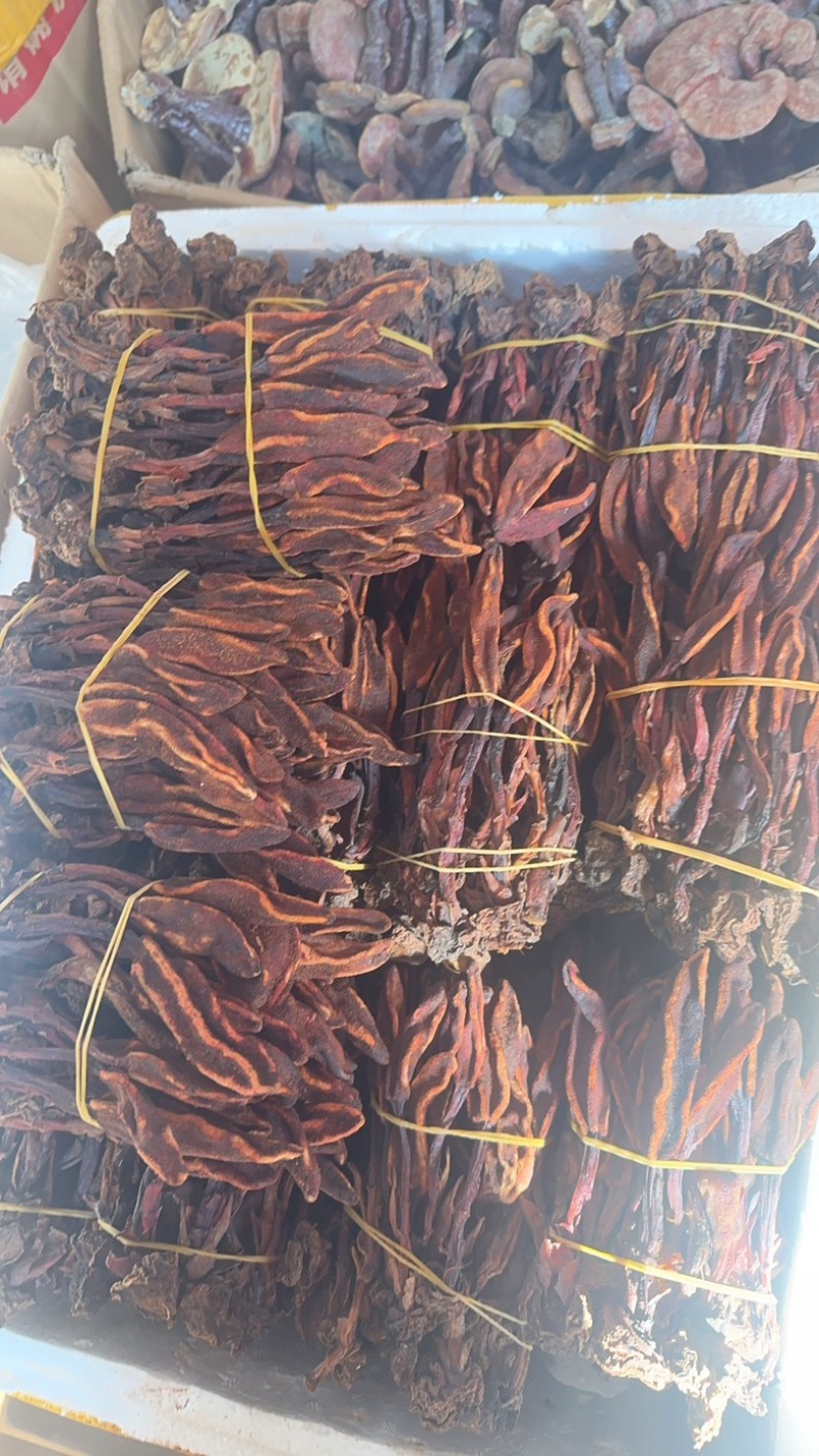 云南锦华药材批发部回春草，自己的加工厂，保证一手货源。