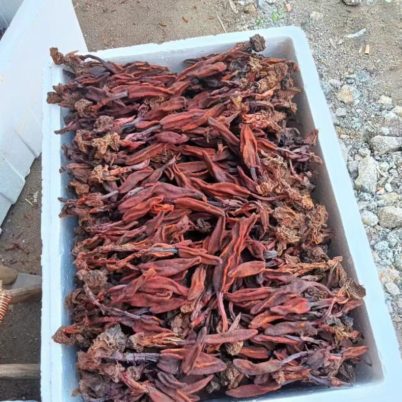 云南锦华药材批发部回春草，自己的加工厂，保证一手货源。