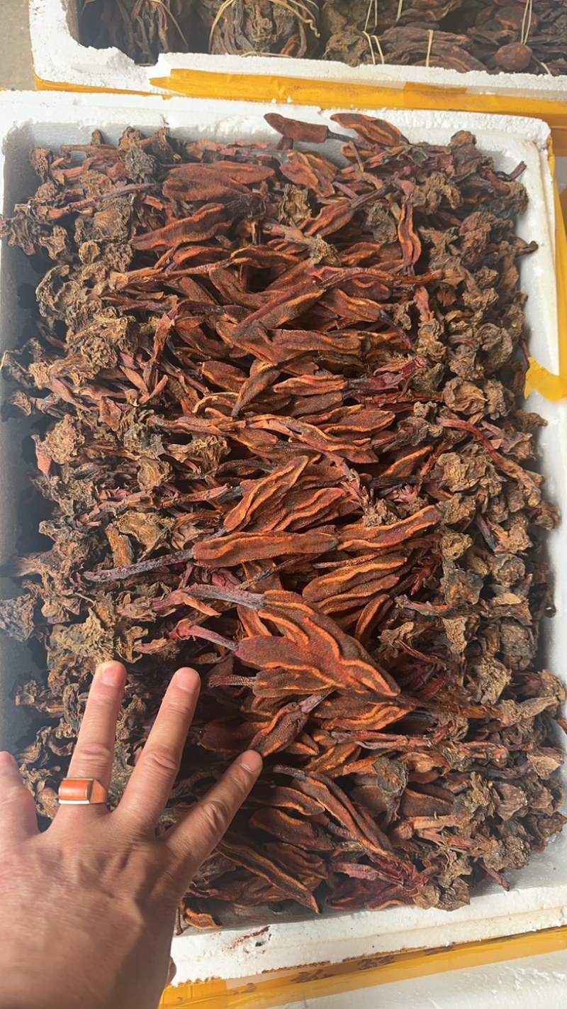 云南锦华药材批发部回春草，自己的加工厂，保证一手货源。