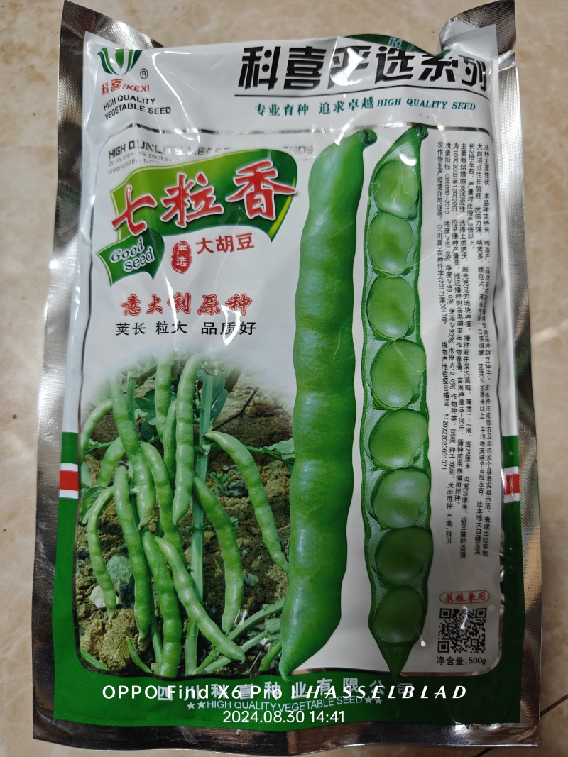 七星蚕豆种子七星胡豆中早熟结荚多不易裂荚秋季菜农播种蔬菜