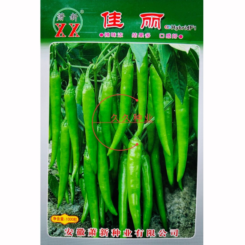 萧新佳丽辣椒种子早熟细羊角椒种籽辣味香浓春秋季种植