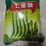 七星蚕豆种子七星胡豆中早熟结荚多不易裂荚秋季菜农播种蔬菜