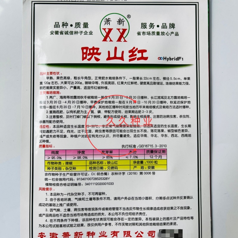 萧新映山红辣椒种子杂交早熟高产抗病粗长牛角椒泡椒种籽春秋