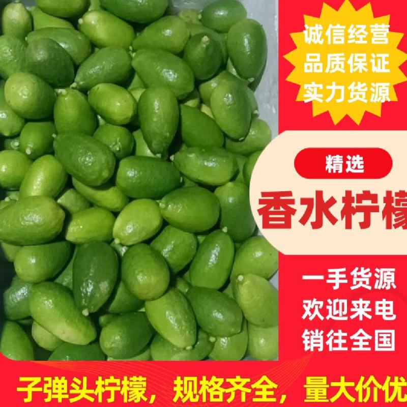 子弹头香水柠檬无籽柠檬基地直销一手批发