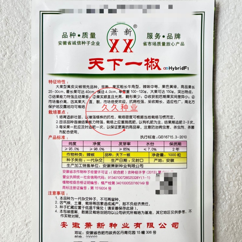 萧新天下一椒种子早熟果实粗长牛角型丰产抗病辣味中等