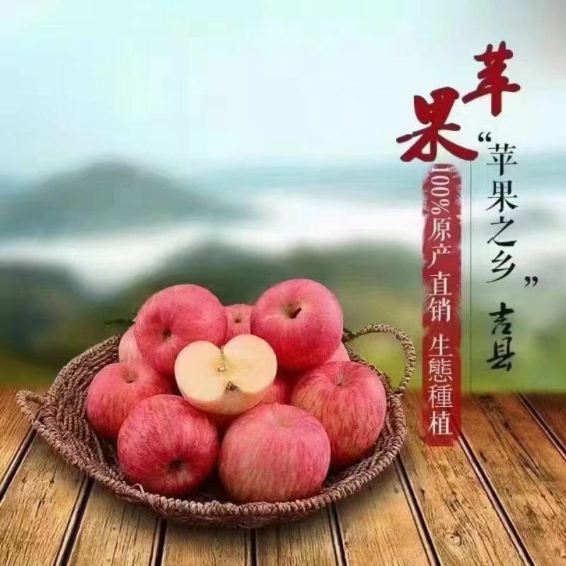 吉县苹果