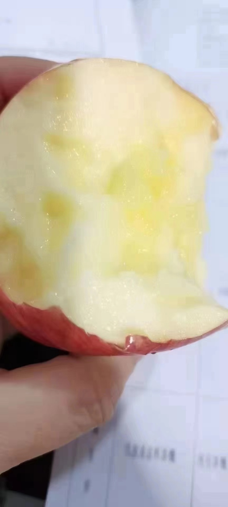 吉县苹果