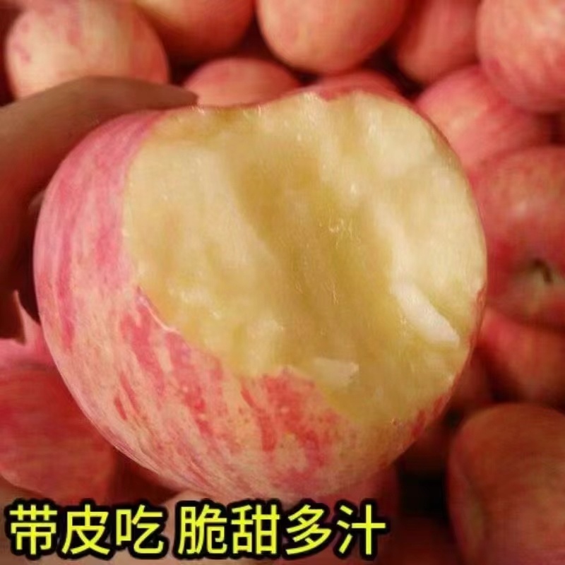 吉县苹果
