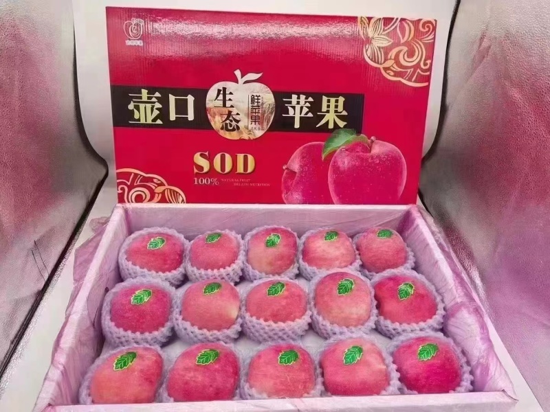 吉县苹果