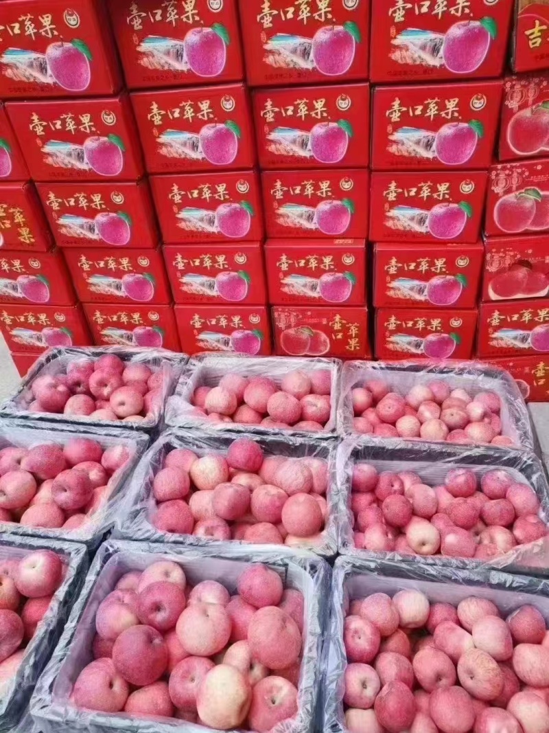 吉县红富士苹果