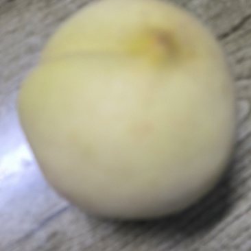 永年蜜大冬桃，口感纯甜，糖分高，耐储运