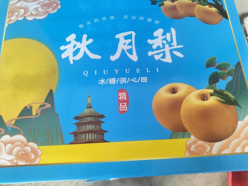 滨州阳信秋月梨甜度高，汁水足化渣好，欢迎老板实地考察合作