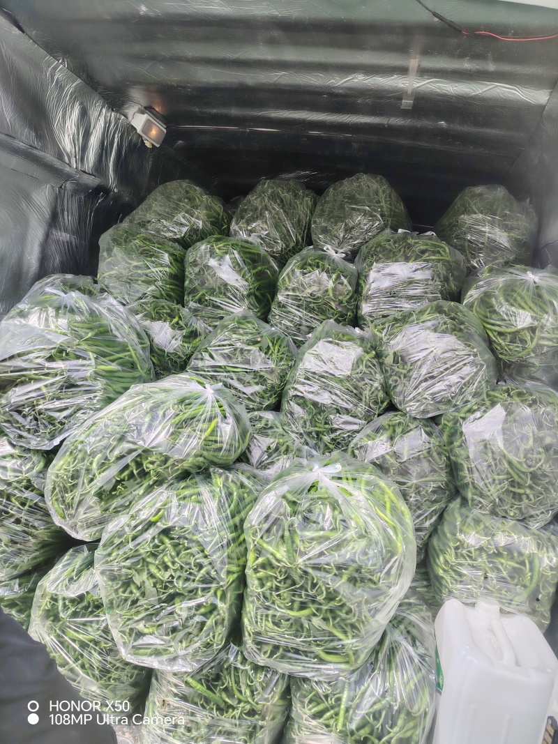 鲜辣椒