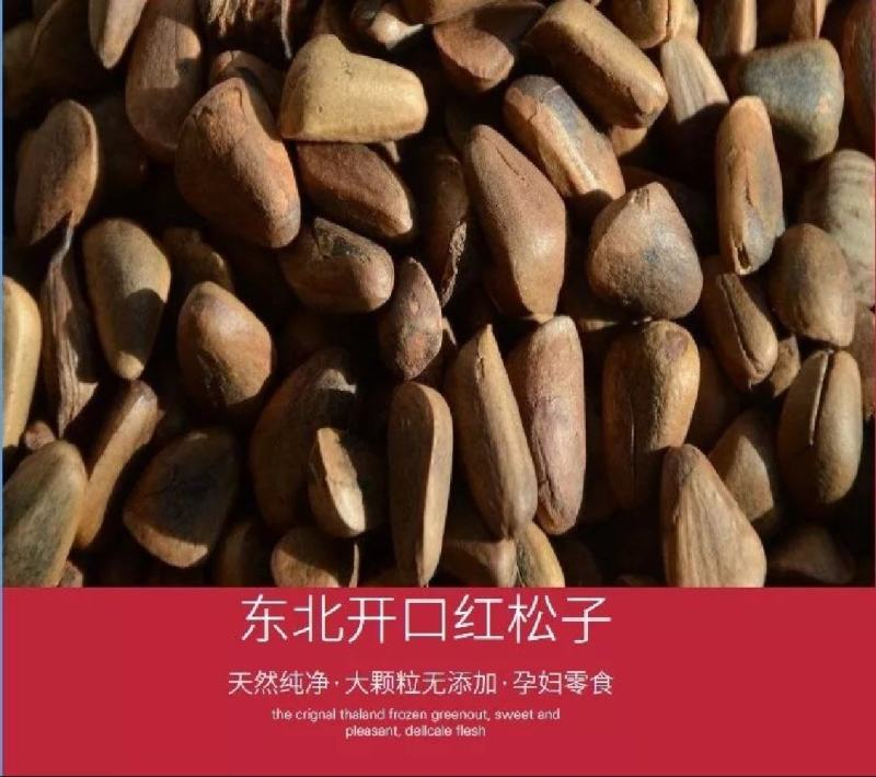 2026年新松子炒熟开口东北松子包邮批发到家好吃不贵