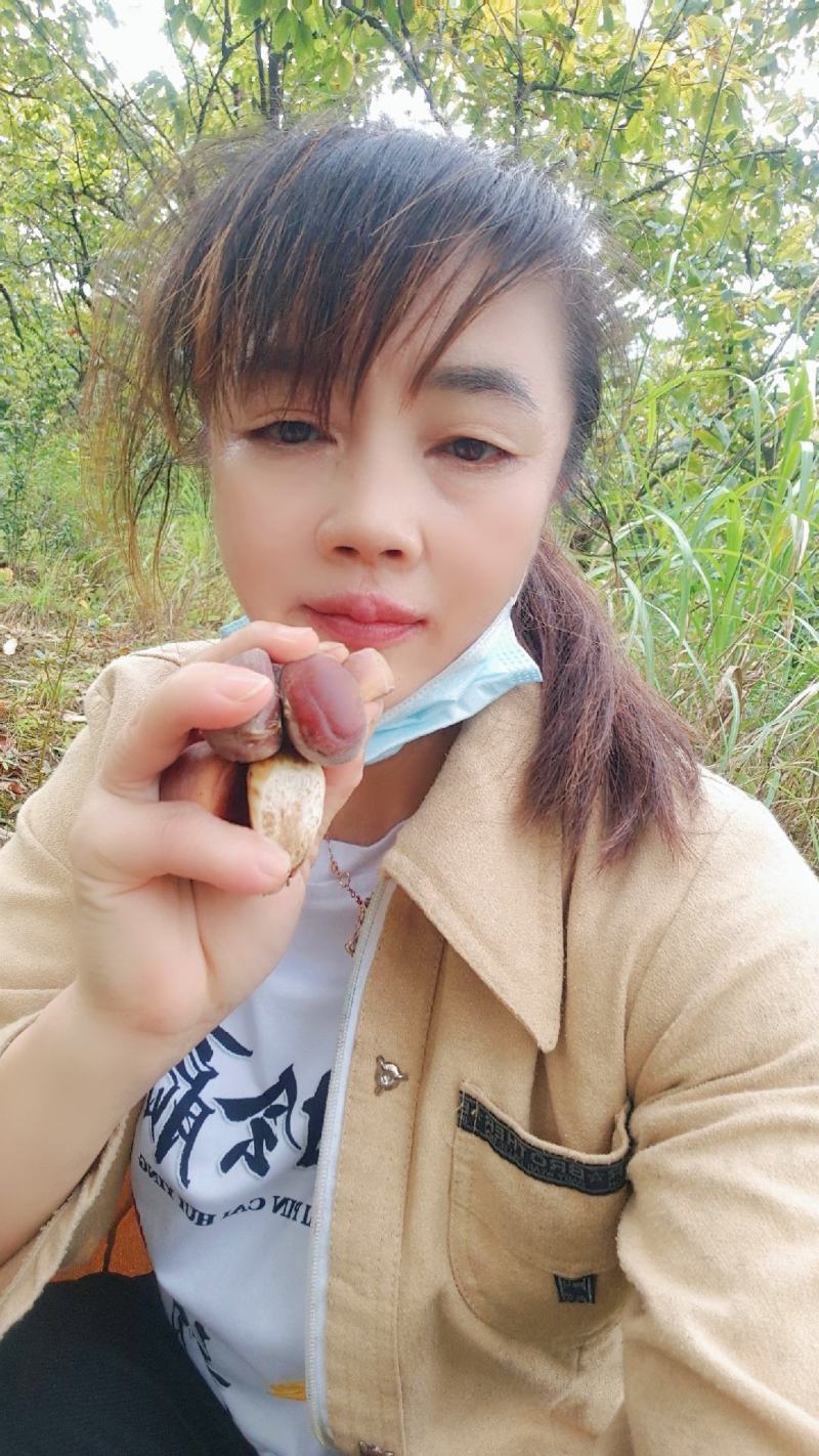 自家种的产品板栗没有施过肥，对人体没有任伤害
