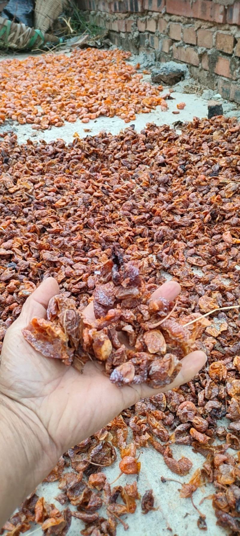 白果，白果仁肉