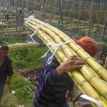 甘蔗云南黄皮甘蔗产地直发对接批发市场电商商超