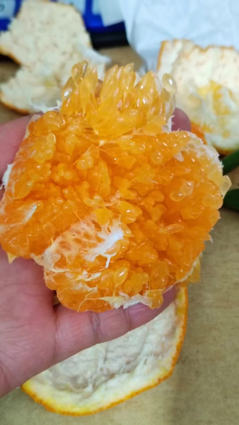 耙耙柑商品果，皮薄多汁，纯甜无酸