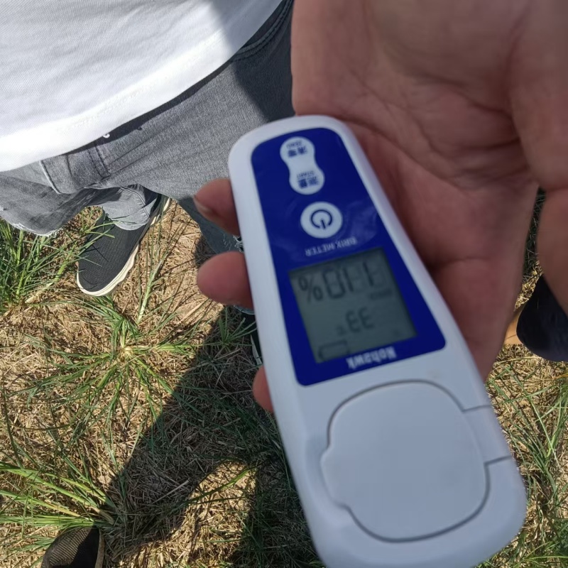 红肉脐橙，糖度高，水份足，