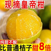 【现摘】一件代发广西皇帝柑新鲜贡柑水果柑橘桔子沃柑蜜桔砂糖桔