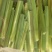 精品茭白霍邱茭白上市了货源充足量大从优
