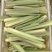 精品茭白霍邱茭白上市了货源充足量大从优