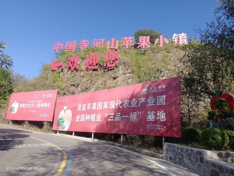 灵宝寺河山苹果，享有“亚洲**高山果园的美誉”
