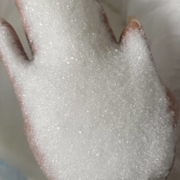 白砂糖