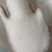 白砂糖