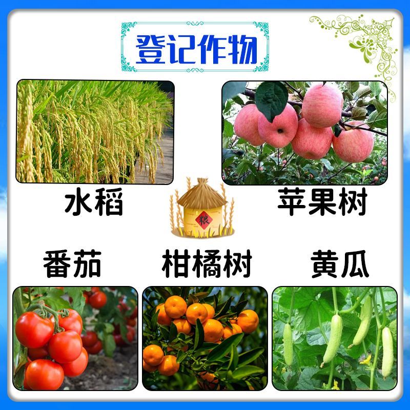 纽发姆铜高尚碱式硫酸铜稻瘟病溃疡病早疫病轮纹病农药杀