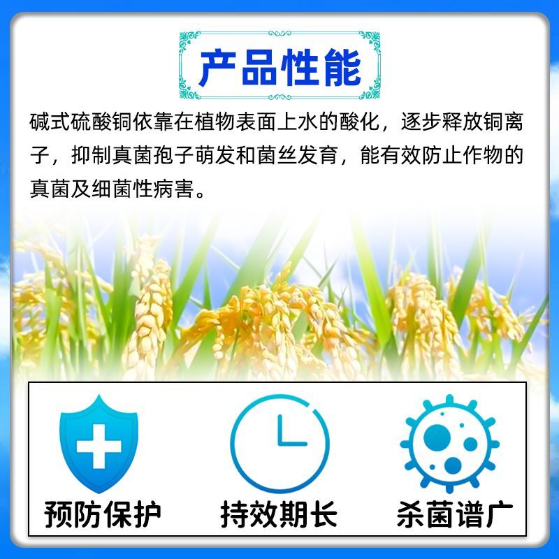 纽发姆铜高尚碱式硫酸铜稻瘟病溃疡病早疫病轮纹病农药杀