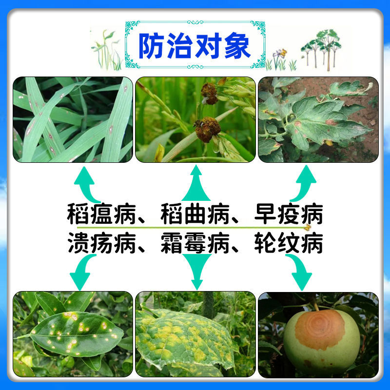 纽发姆铜高尚碱式硫酸铜稻瘟病溃疡病早疫病轮纹病农药杀