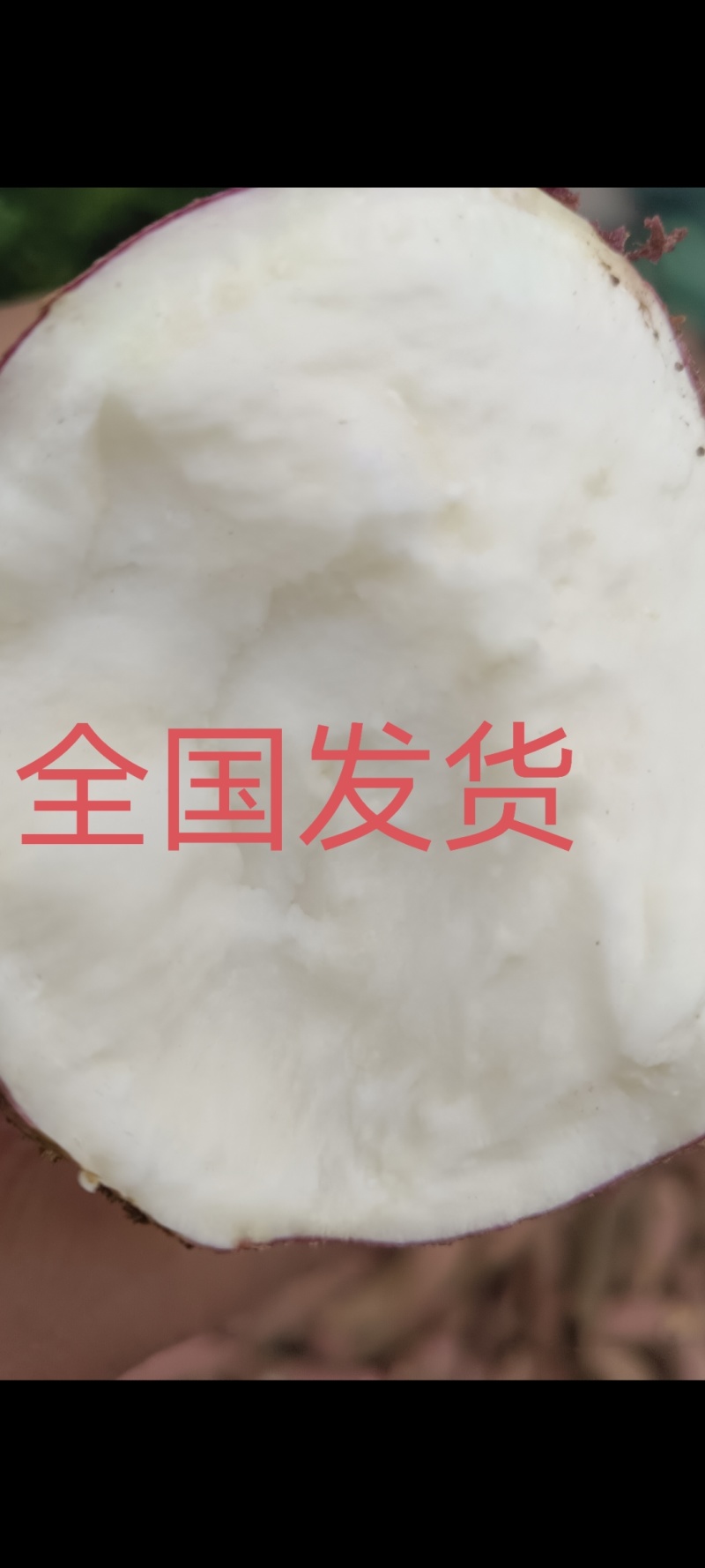 徐薯18，25，淀粉薯精选无虫眼光滑，电商超市全国发货