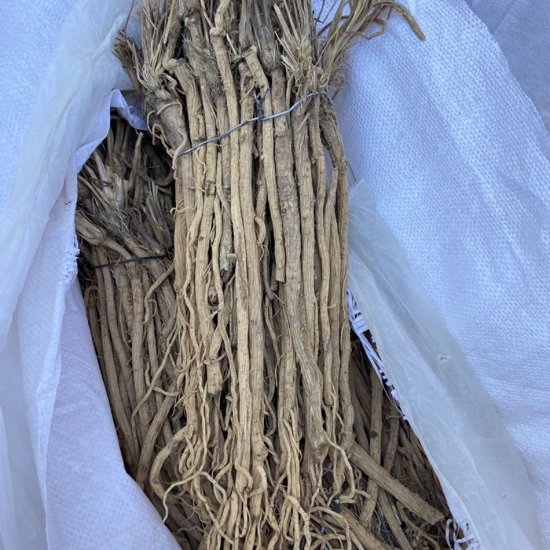 野生防风干货产地直供量大从优规格齐全品质保证