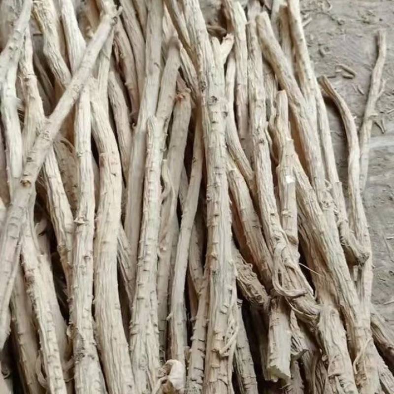 野生防风干货产地直供量大从优规格齐全品质保证