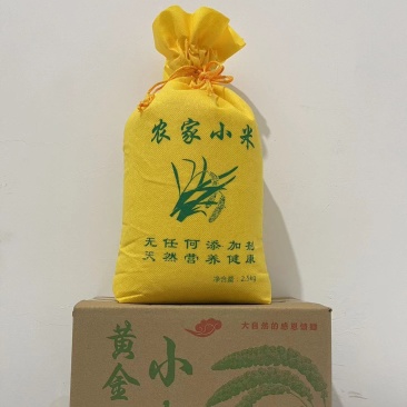 【一件代发】山东莱阳农家黄金小米5斤米油醇厚当季新米