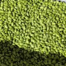 郯城毛豆/米青豆产地直供大量有货，对接超市批发市场