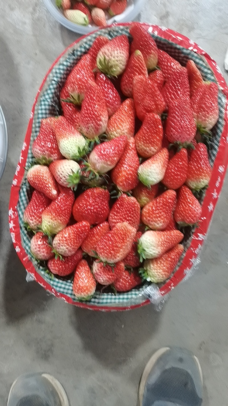 沂源甜宝草莓产地直供，一手货源