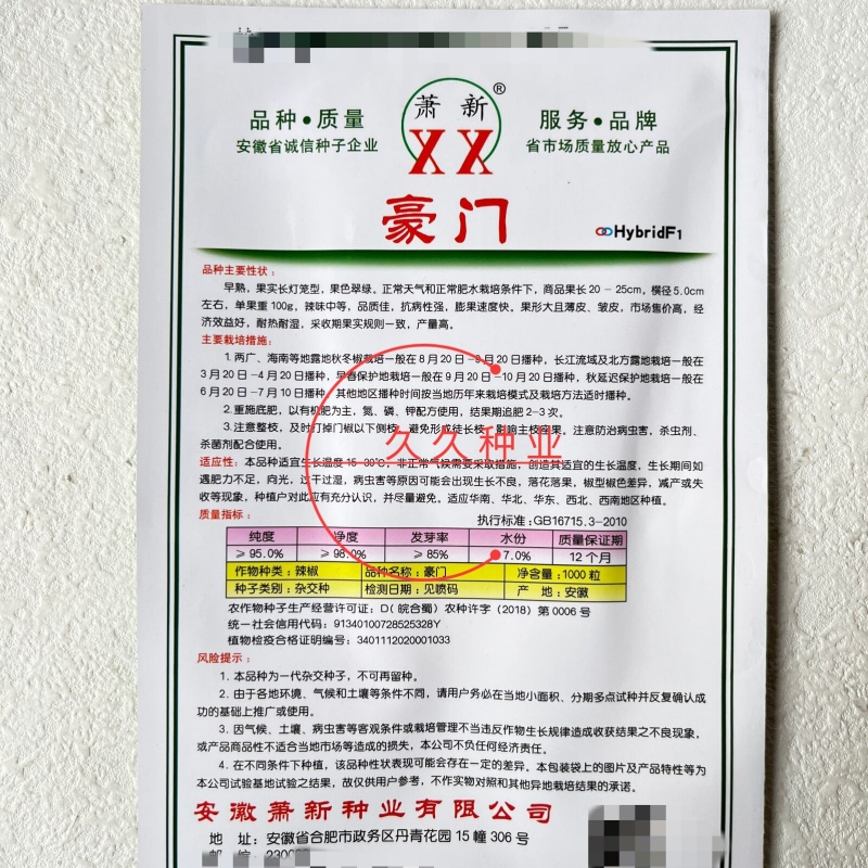 豪门辣椒种子薄皮大果泡椒种籽芜湖椒更耐热皱皮椒苏椒类型